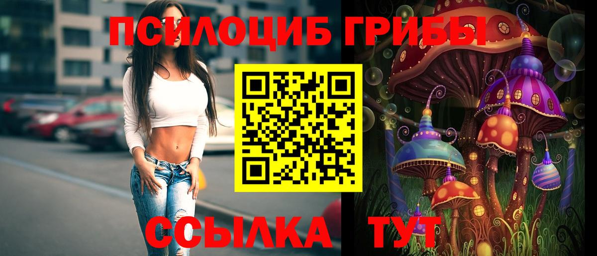 Галлюциногенные грибы Psilocybe  Вход с VPN  Саранск 